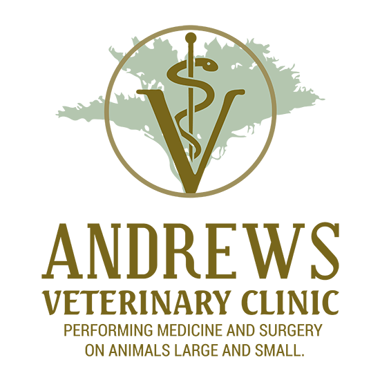 Andrews Veterinary Clinic